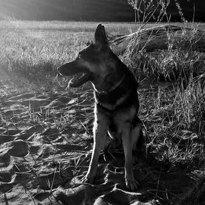 Meet your Posher, Jane